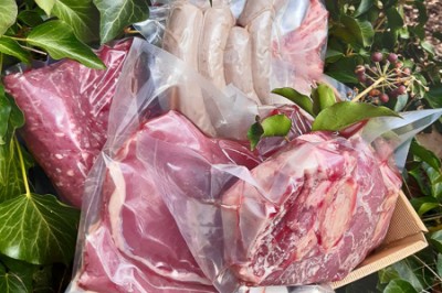 Uploads/Rind_TITEL58c9447aefff5-v4.jpg